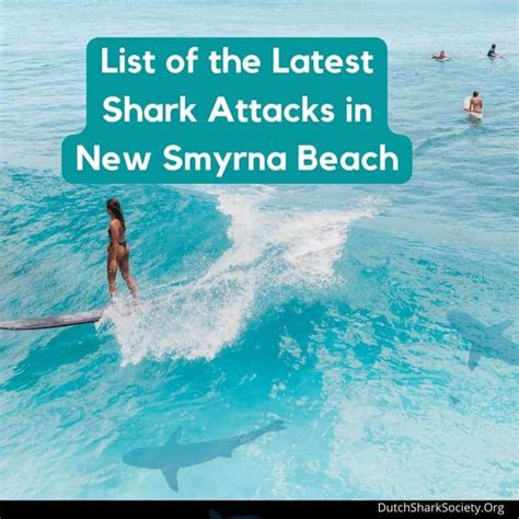 New Smyrna Beach Sharks 2025 - Trina Bernardine