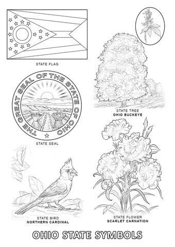 All 50 State Flags Coloring Pages - Tripafethna