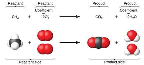 This figure shows a balanced chemical equation followed below by a representation of the ...