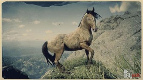 Missouri Fox Trotter | RDR2 Horse Breeds Coats, Locations & Stats