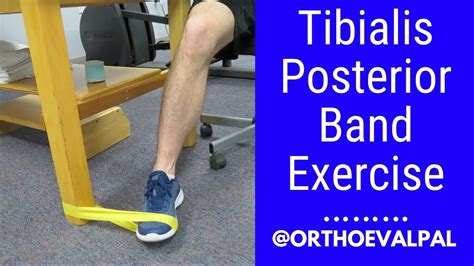 Tibialis Posterior strengthening exercise with a band - YouTube