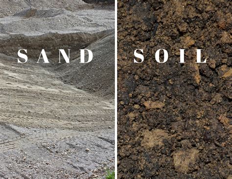 Sand or Soil: What is Best for Your Next Landscape Project? - Frador