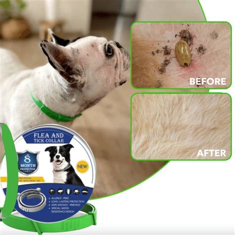 Petsvago™ Natural Flea and Tick Collar for Dogs + Cats - Petsvago