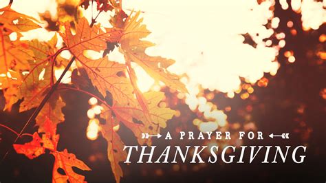 Thanksgiving Light Prayer | Motion Video Background