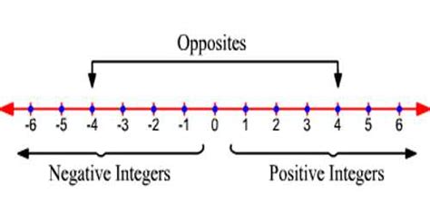 Negative Integers - Zoefact