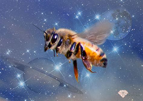 dreaming-of-bees | Crystal Clear Intuition