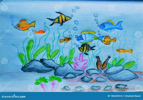 Under water scene sketch stock photo. Image of drawing - 186369416