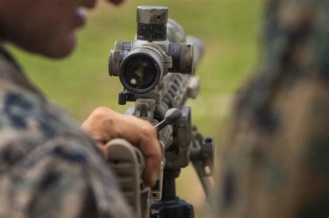 The Ultimate Guide to Choosing the Right Thermal Scope for Hunting