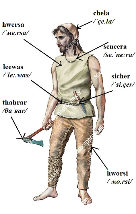 The names of several tools and items of clothing of a Neolithic man in ...