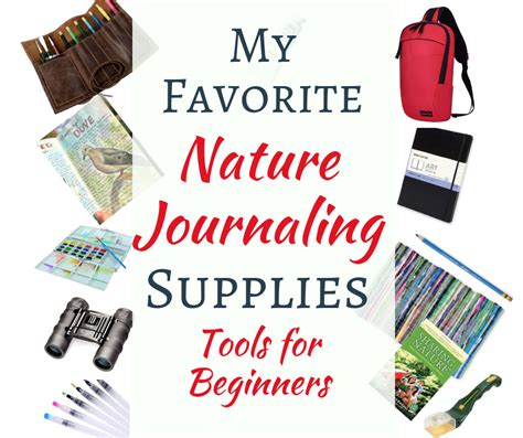 Nature Journaling for Beginners Supply List - Lily & Thistle