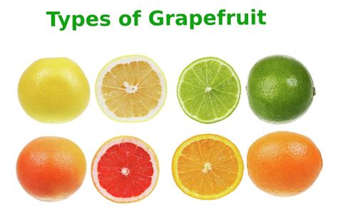 What is Grapefruit? - Types, In Which Season to Eat, and More