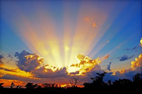 Glorious Sunrise | The Gift Of Light | Pinterest