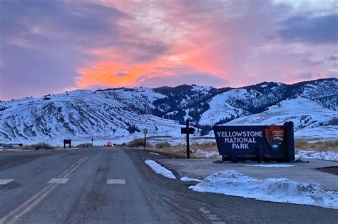 Why We Love Yellowstone’s Northeast Entrance - A Yellowstone Life