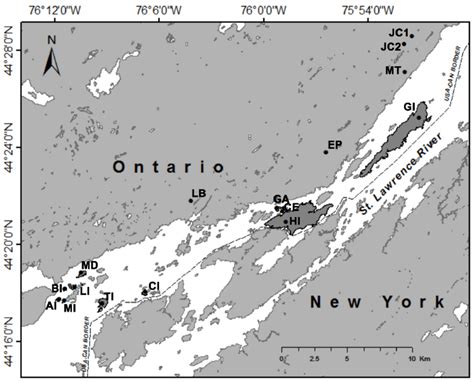 Trapping locations of white-footed mice (Peromyscus leucopus) in... | Download Scientific Diagram