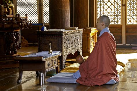 Buddhist Monk In Prayer by Michele Burgess