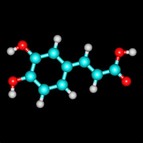 The Overall And Bone Health Benefits Of Caffeic Acid (And How To Best Consume It) - Save Our Bones