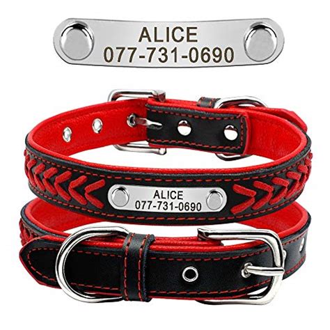 Top 5 Best Leather Dog Collars with Nameplate (Aug 2022) | PetDogLife | Pet Dogs Life