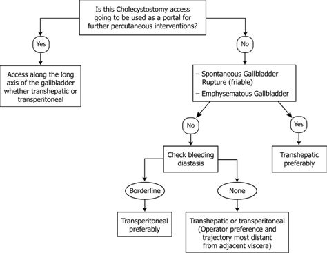 Percutaneous Cholecystostomy | Radiology Key