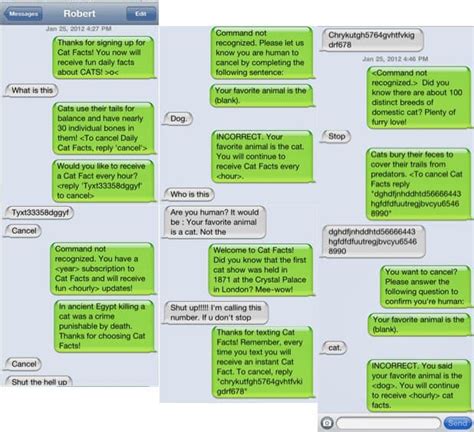 13 Hilarious Text Pranks To Try on Your Friends