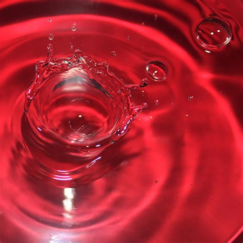 A Red Splash Of Water Photograph by Christy Patino