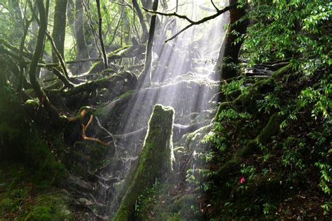 Yakushima