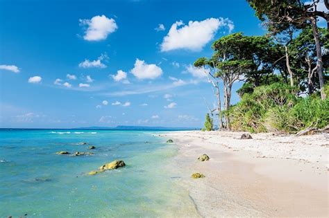 20 Best Beaches In Andaman & Nicobar Islands