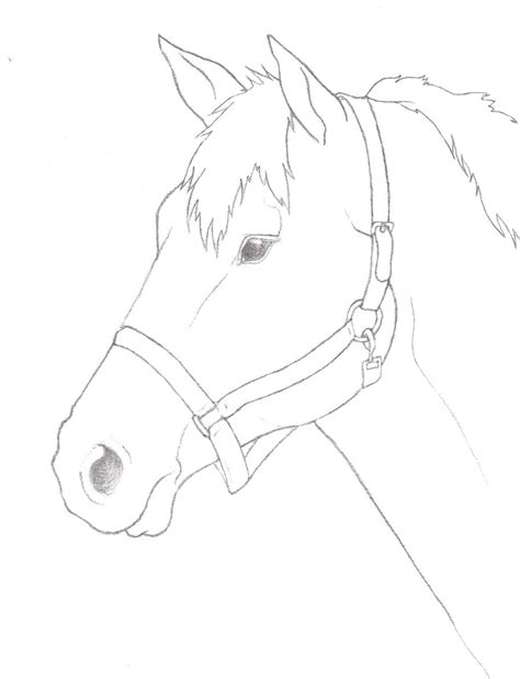 Horse Sketch Simple at PaintingValley.com | Explore collection of Horse ...