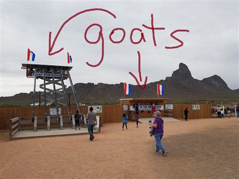 Things to do in Arizona: Rooster Cogburn Ostrich Ranch