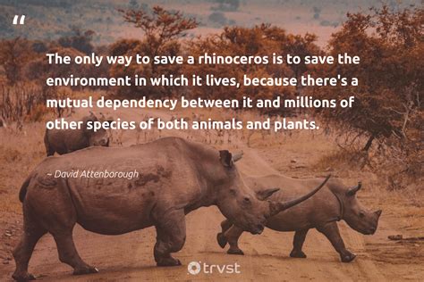 12 Rhino Quotes & Famous Sayings About Rhinoceros