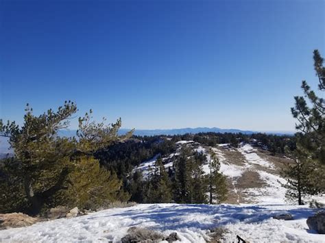 Mt. Pinos Hiking Trail in Frazier Park, California - Zaubee