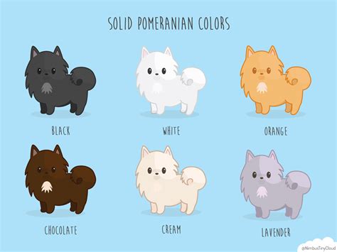 Pomeranian Coat Colors Art Board Print | ubicaciondepersonas.cdmx.gob.mx