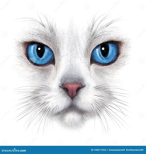 Hand-drawing Portrait of White Cat Stock Illustration - Illustration of portrait, muzzle: 108271552