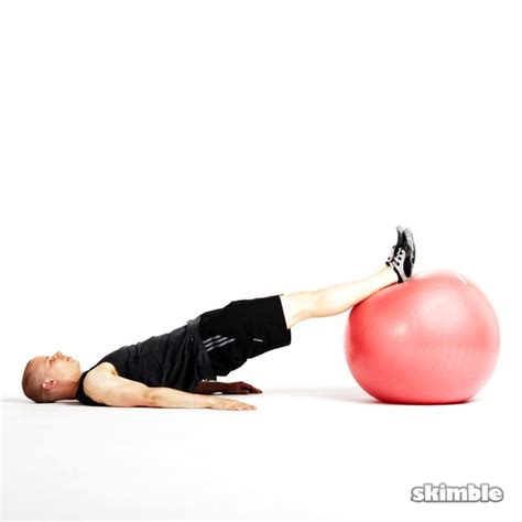 Bridge on Ball - Exercise How-to - Skimble Workout Trainer