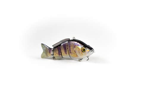 Perch Premium – Animated Lure