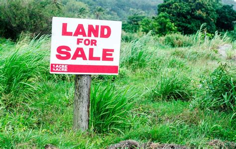 What to ask when buying land: The Rural Rules