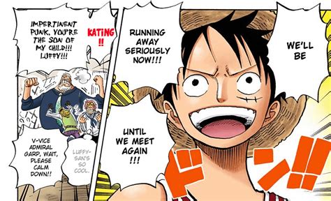 Luffy's mom theory AGAIN : r/OnePiece