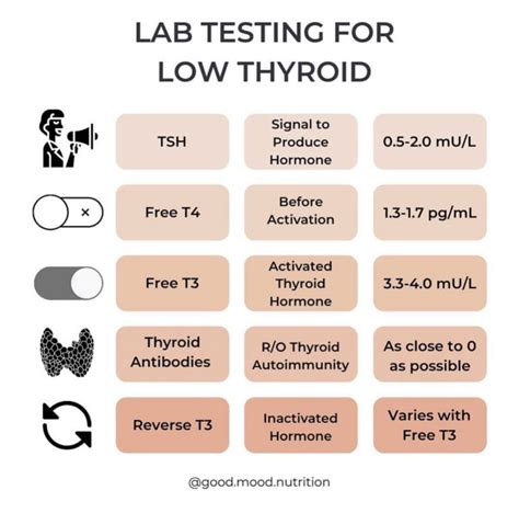 Thyroid Testing (The Full Panel) - chelseapotternutrition.com