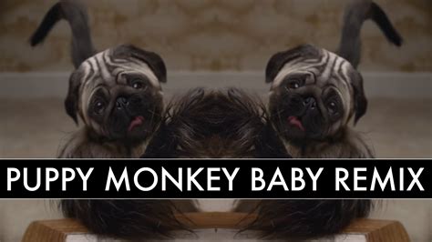 A Remix of the Disturbing 'Puppy Baby Monkey' Mountain Dew Super Bowl 50 Commercial