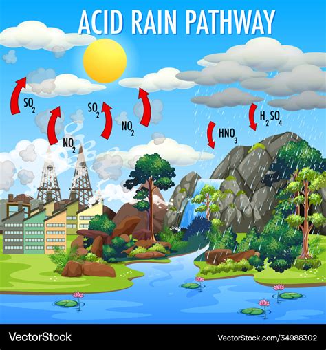 Diagram showing acid rain pathway Royalty Free Vector Image