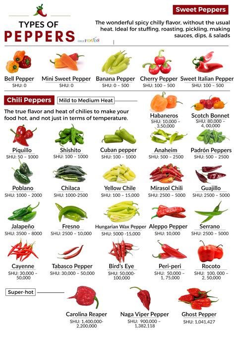 30 Different Types of Peppers From Sweet to Mild, and Truly Hot - Only Foods