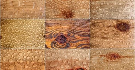 How to Waterproof Wood: Everything You Need to Know