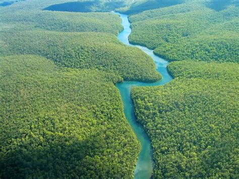 Tickets & Tours - Amazon River, Iquitos - Viator