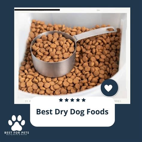 The 9 Best Dry Dog Foods in 2024 - BestForPets.org