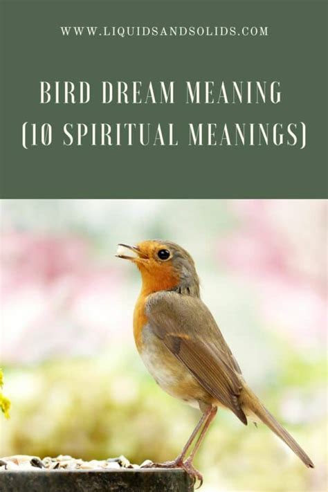 Dream about Bird? (10 Spiritual Meanings)