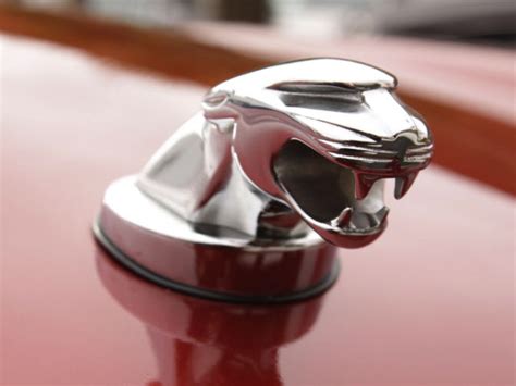 Jaguar Hood Ornament - Jaguar Forums - Jaguar Enthusiasts Forum