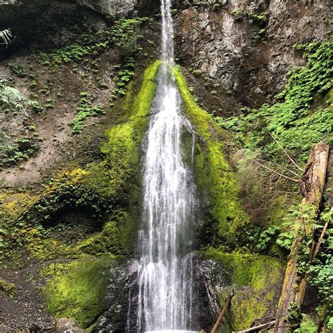 THE 15 BEST Things to Do in Olympic National Park (2025)