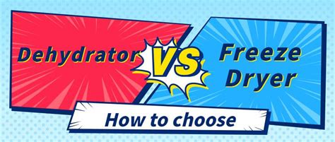 A Comprehensive Comparison of Dehydrator vs Freeze Dryer: Pros and Cons - Fuzhou Xing Shun Da ...