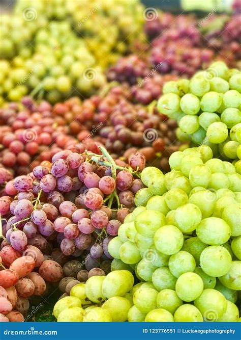 Green Grapes and Red Grapes Stock Image - Image of california, central ...