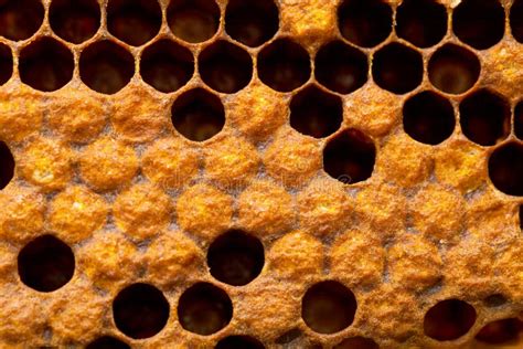 Honeycomb texture stock image. Image of natural, brown - 117048321