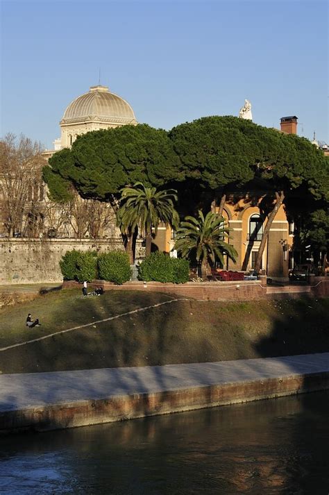 The Tiber Island in Rome, Tiberinsel in Rom | The Tiber Isla… | Flickr